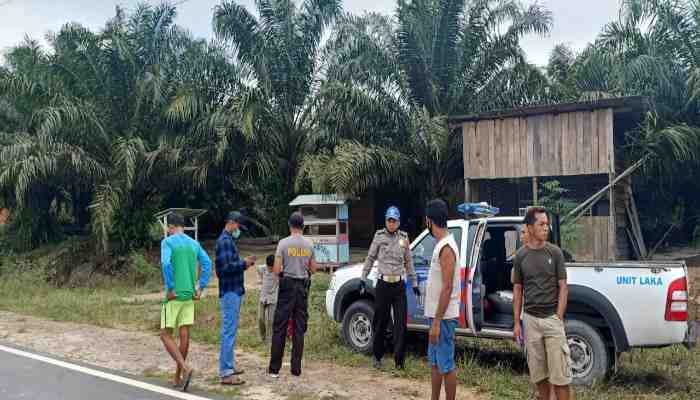 IMG 20200803 WA0046 copy 700x400