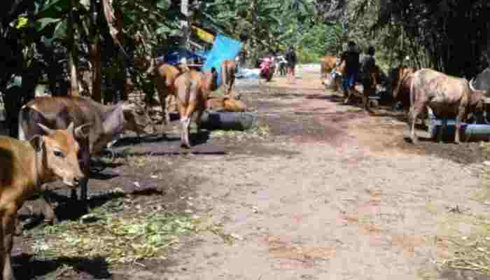 IMG 20200913 192757 copy 700x400