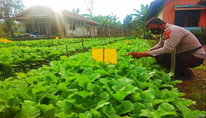 IMG 20210904 172137 copy 700x400