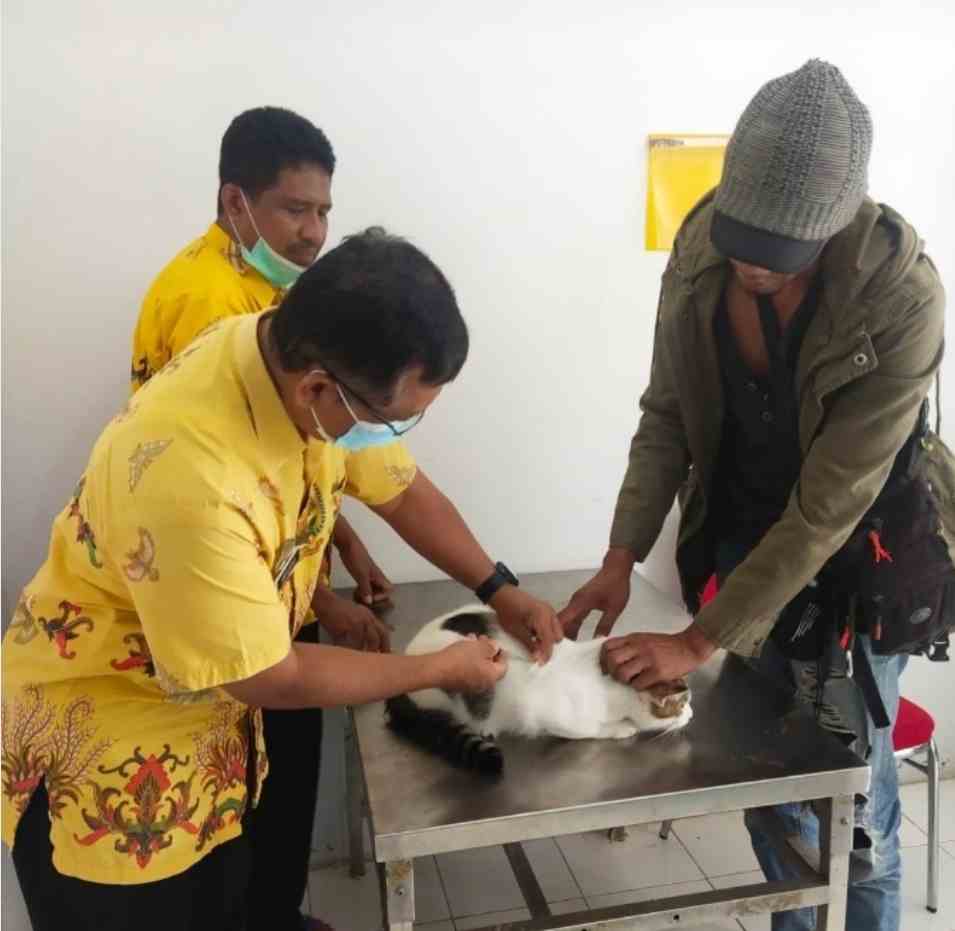 Screenshot 20211111 210534 Chrome