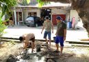 IMG 20260515 WA0008