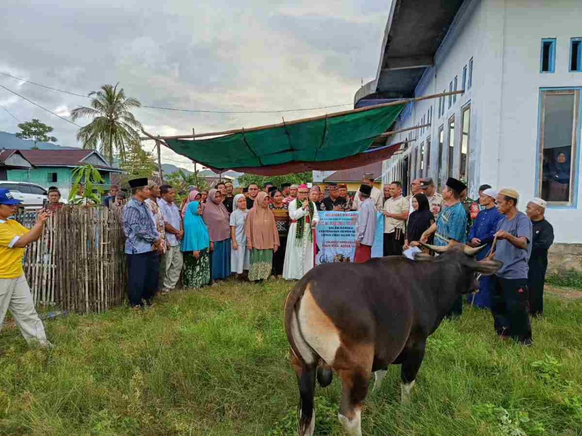 IMG 20260523 WA0011