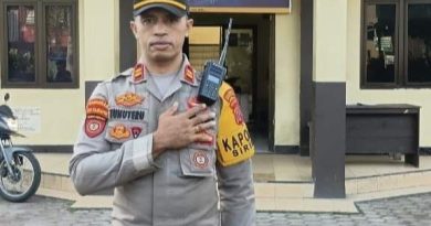 1780377151655