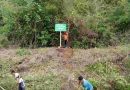 IMG 20260617 WA0000(1)