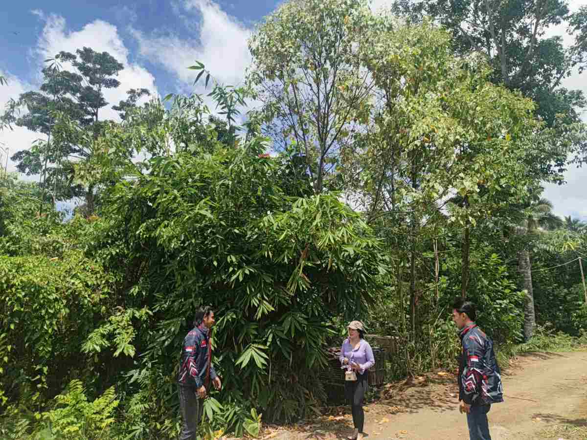 IMG 20260815 WA0038