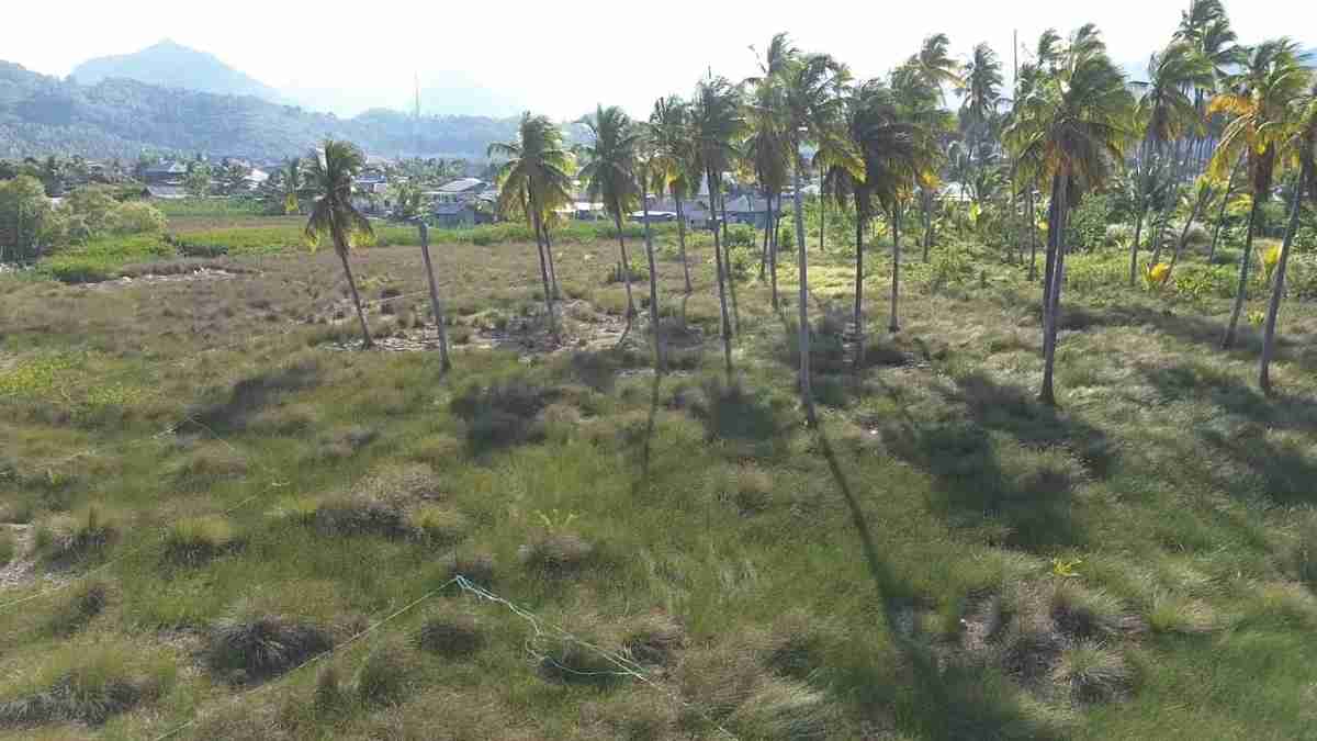IMG 20261013 WA0002