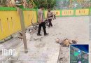 IMG 20261030 WA0021